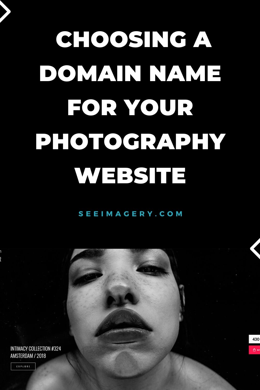 Choosing a Domain Name Pinterest Pin