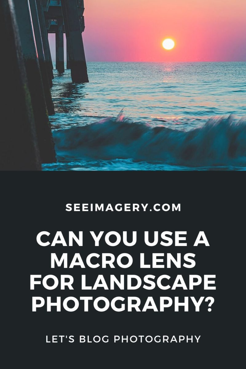 What is a Macro Lens Used For? See Imagery